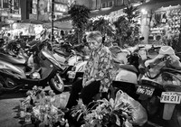 Plants for Sale, by Dean Chiang, Xyclopx