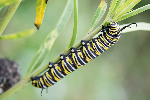 Natural Bridges State Beach, Dec. 2014 #5, by Dean Chiang, Xyclopx